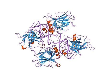 Tập_tin:PDB_2ata_EBI.jpg