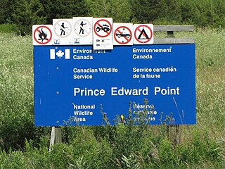<span class="mw-page-title-main">Prince Edward Point Bird Observatory</span> Bird observatory in Canada