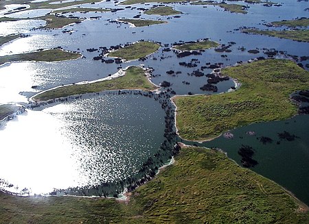 Tập_tin:Pantanal,_south-central_South_America_5170.jpg