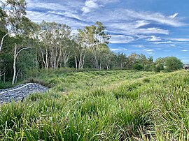 Park in Thornlands, Queensland 02.jpg