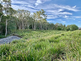 <span class="mw-page-title-main">Thornlands, Queensland</span> Suburb of Redland City, Queensland, Australia