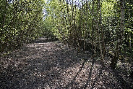 Partington railway station