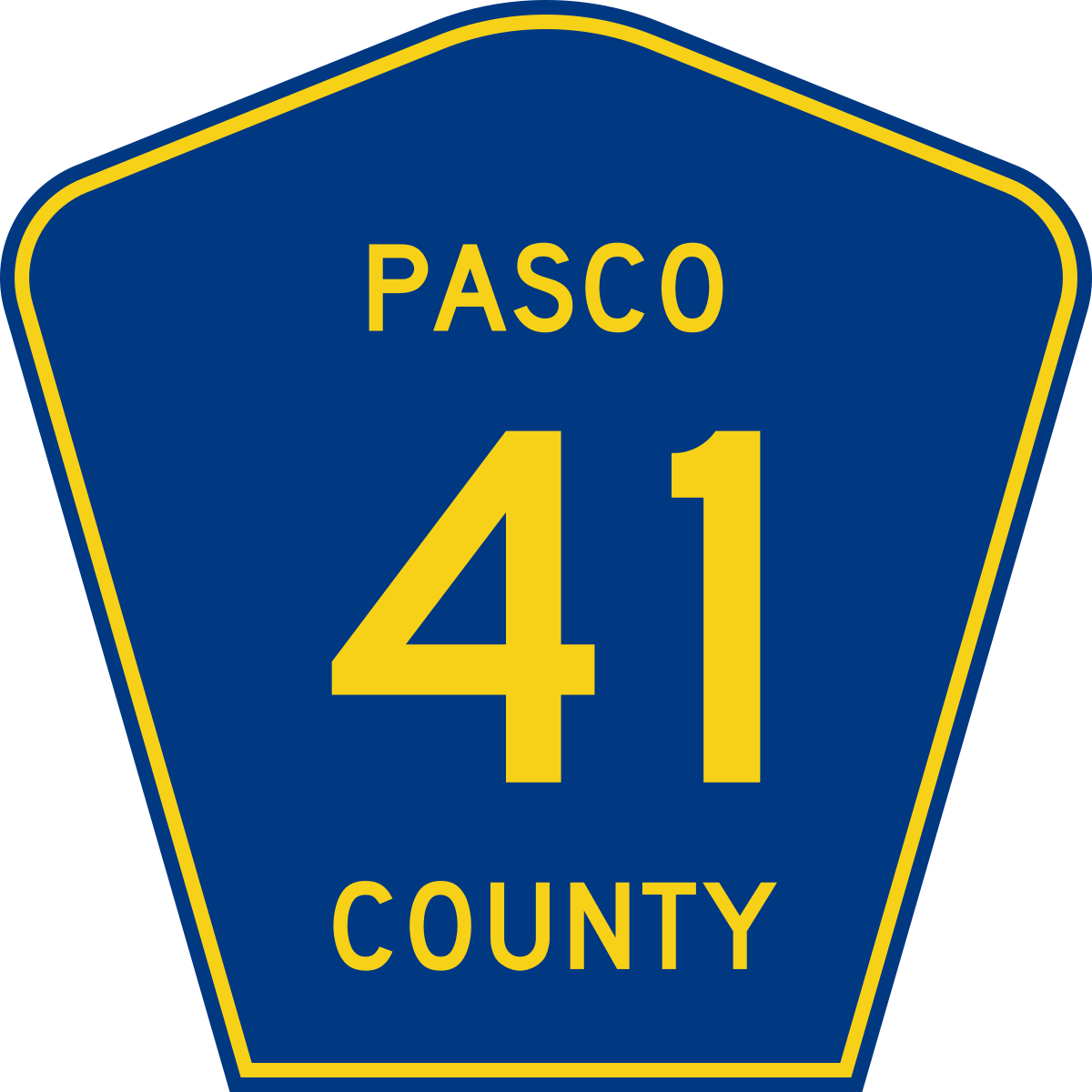 Округ 41. Pasco County. 41 Wikimedia. Onondaga County Dot. 41.Svg.