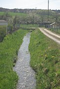 Junge Wern vor Pfersdorf