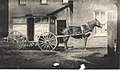 Photograph of horse and cart outside a house. The cart bears the words "B. L. Detlor, Baker & Confectioner, Home-Made Bread". Bismark Leroy Detlor owned a bake shop in St. George Street, (5934476424).jpg