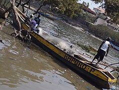 Bateaux à Kaporo.