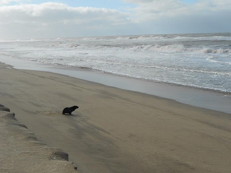 File:Playa de Mar Azul.jpg