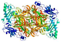 Protein AOC3 PDB 1pu4.png