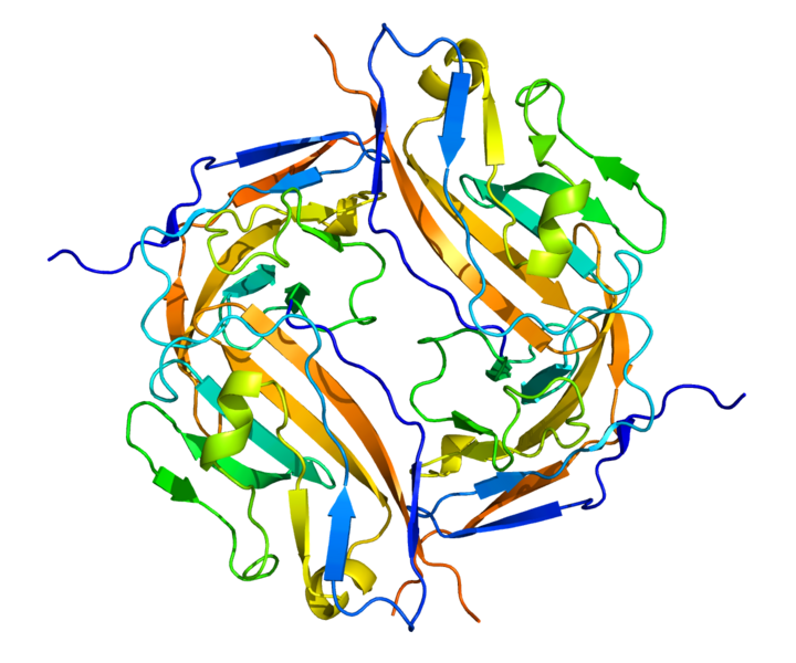 File:Protein CD47 PDB 2JJS.png