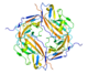 CD47