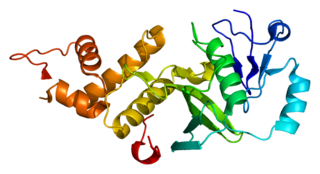 <span class="mw-page-title-main">KAT5</span> Protein-coding gene in the species Homo sapiens