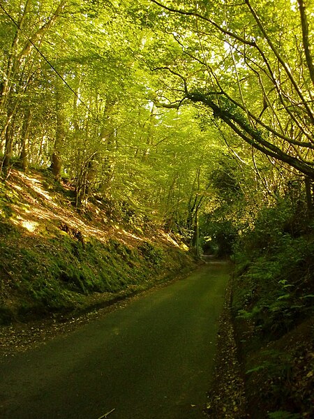 File:Radnor Lane - geograph.org.uk - 4541195.jpg