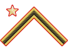 Ranger insignier af primo maresciallo luogotenente fra Alpini.svg