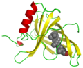 Thumbnail for Retinol binding protein 4