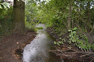 River Ter SSSI