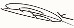 Robert Kubica signature.jpg