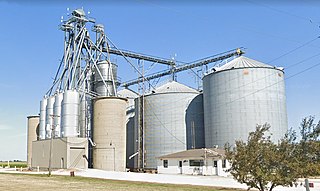 <span class="mw-page-title-main">Rooks Creek, Illinois</span> Human settlement in Rooks Creeks Township, United States of America