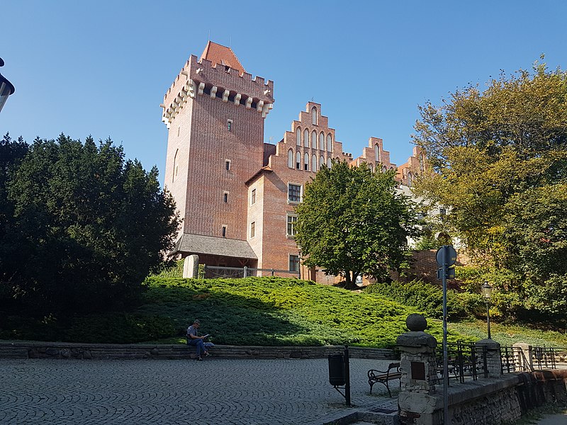 File:Royal Castle in Poznań, 2020.jpg