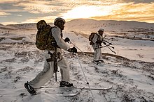 SRS personnel conducting a ski warfare exercise. Royal Marines master survival skills in the Arctic MOD 45169593.jpg