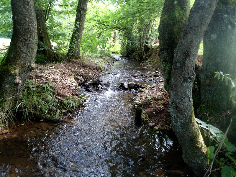 File:Ruisseau du Vieux-Fourneau.JPG