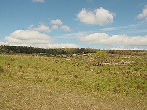 Nature reserve south slope Ettersberg (April 2016)