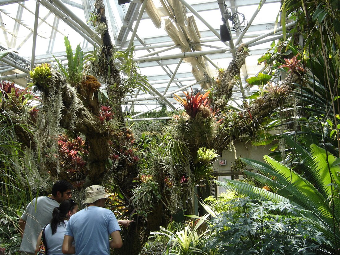 Jardín Botánico de San Antonio