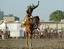 Cowboy riding a saddlebronc Saddlebronc.jpg