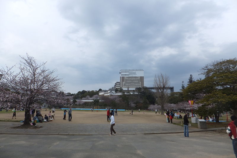 File:Sakura at Himeji Castle in 2013 No,08.JPG
