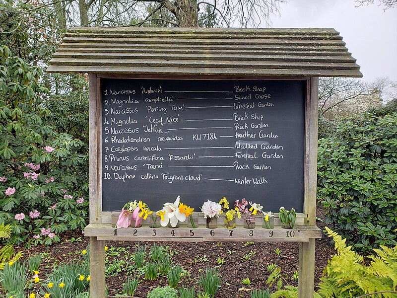 File:Samples of flowers in Nymans Garden.jpg