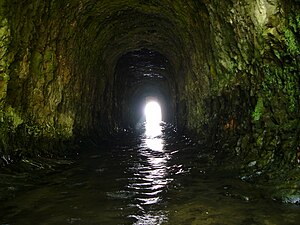 San Vicente Creek tunnel 2.jpg