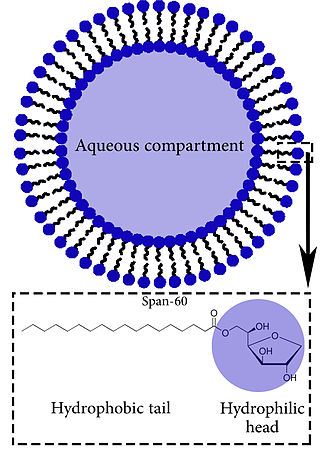 <span class="mw-page-title-main">Niosome</span> Non-ionic surfactant-based vesicle
