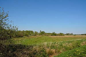 Schleswig-Holstein, Heide, Ostroher-Süderholmer Moor NIK 0186.JPG