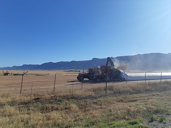 Two tractors deploying a sealed storage method for newly harvested wheat.