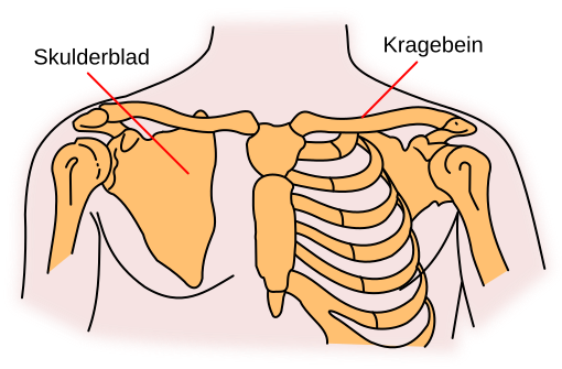 File:Skulderbogen.svg