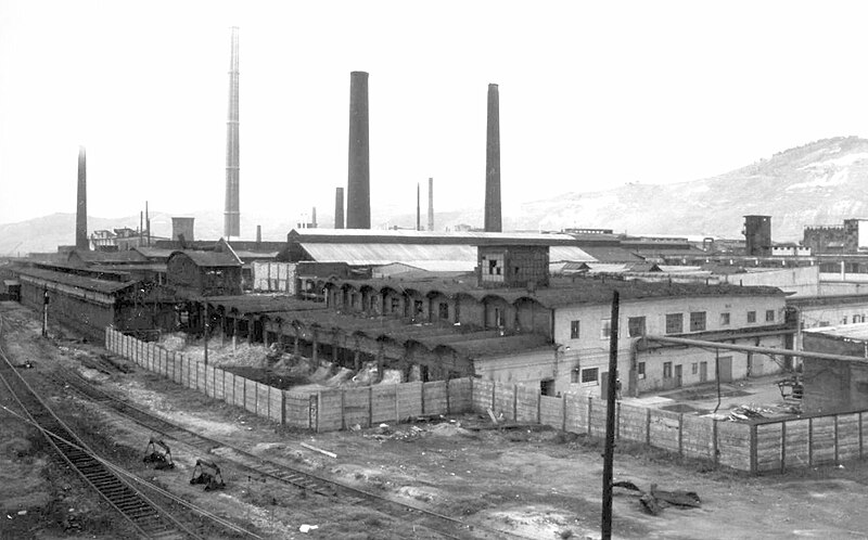 File:Sometra Lead Smelter, Copşa Mică, Romania, May 1994.jpg