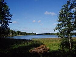 ארץ סביאלנד, שוודיה