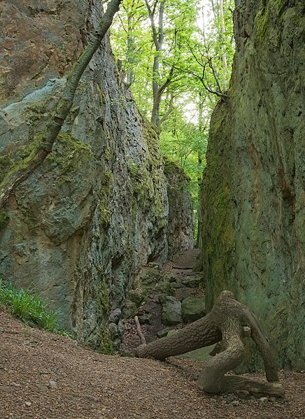 File:Spatschlucht Schriesheim 20220507 02.jpg