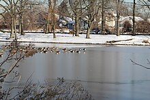 A part of Springfield Lake in Springfield Park