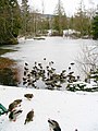 Squint Lake in cold January 2005.JPG