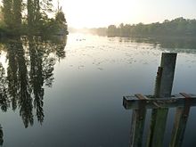 L'étang de Saint-Maigrin au petit matin