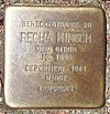 Stolperstein Von-Melle-Park 5 (Recha Hirsch) in Hamburg-Rotherbaum.JPG