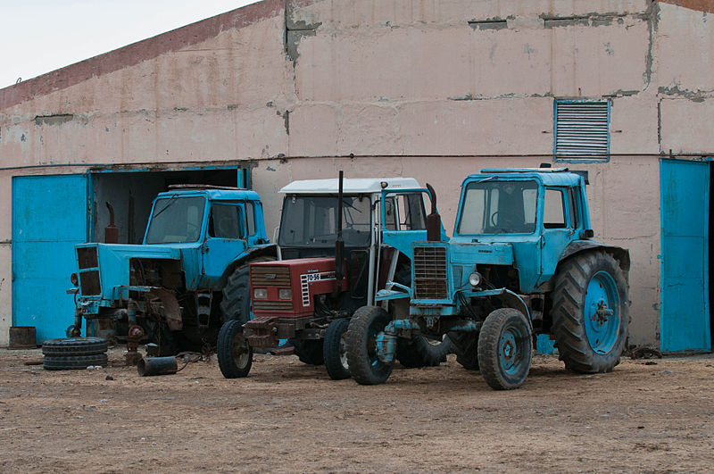 File:Studfarm in Turkmenistan - Flickr - Kerri-Jo (99).jpg