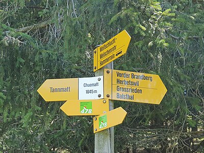 Symbol of the hiking route "478" on the destination guidepost of the basic network / Symbol der Wanderroute "478" am Zielwegweiser des Grundnetzes