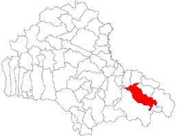 Tărlungeni - Carte