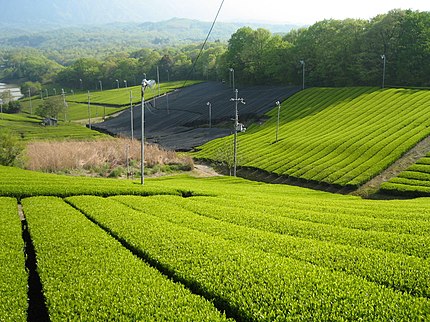 南山城村の有名地