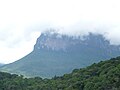 Miniatura para Parque nacional Jaua-Sarisariñama