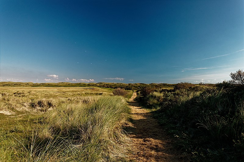 File:Texel - De Slufter - View SSE.jpg