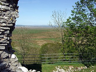 View of the Llanrhidian saltmarshes from the Castle The salt marshes below Weobley castle - geograph.org.uk - 1311232.jpg