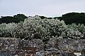 Roman ruins of Tróia