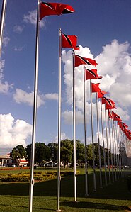 Trinidadandtobagoflags uwi.JPG
